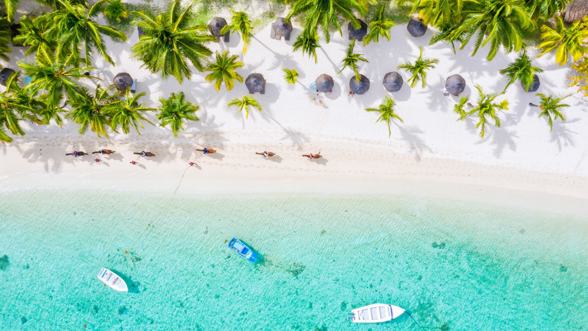 Trip to the Island Paradise of Mauritius